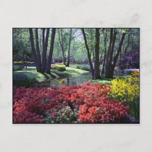 Cartão Postal Keukenhof Gardens Netherlands, Postcard Modelo