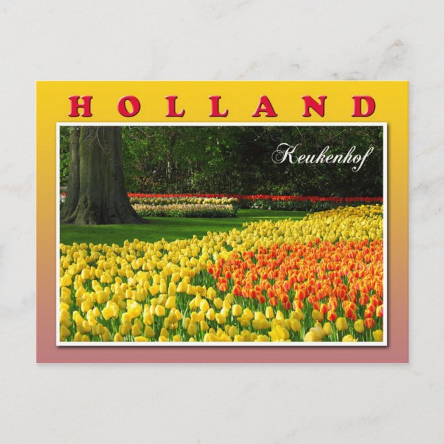 Cartão Postal Keukenhof, Lisse, Países Baixos (Frente)
