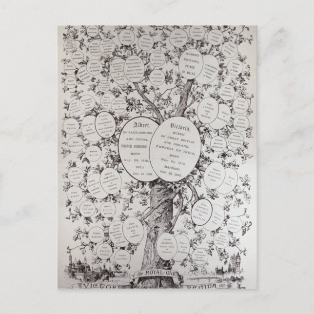 Cartão Postal Key to Genealogical Tree (Frente)