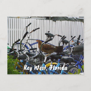 Cartão Postal Key West, Flórida