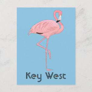 Cartão Postal Key West Florida Pink Flamingo