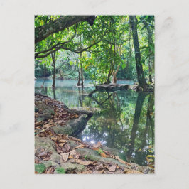 Cartão Postal Khoung Si Falls, Forest Lake, Laos