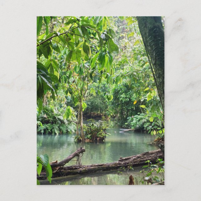 Cartão Postal KhYoung Si Falls, Forest Lake, Laos (Frente)