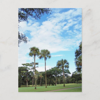Cartão Postal Kiawah Island Postcard
