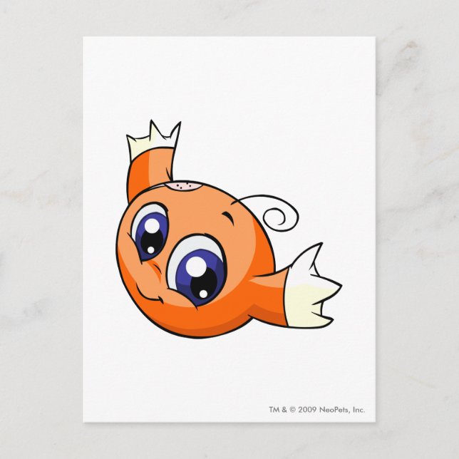 Cartão Postal Kiko Orange (Frente)