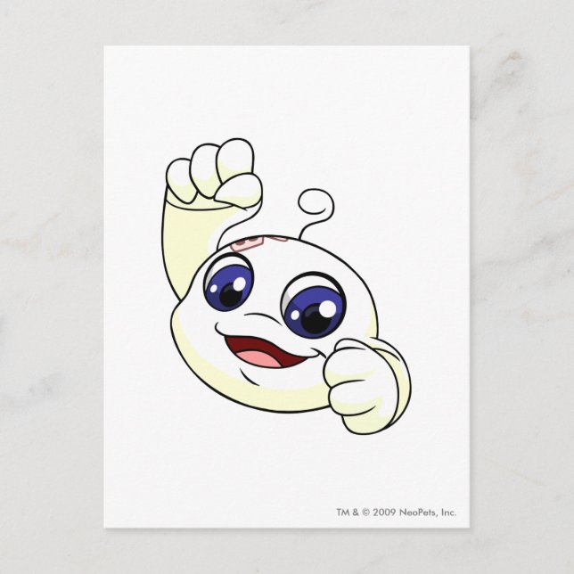 Cartão Postal Kiko White (Frente)