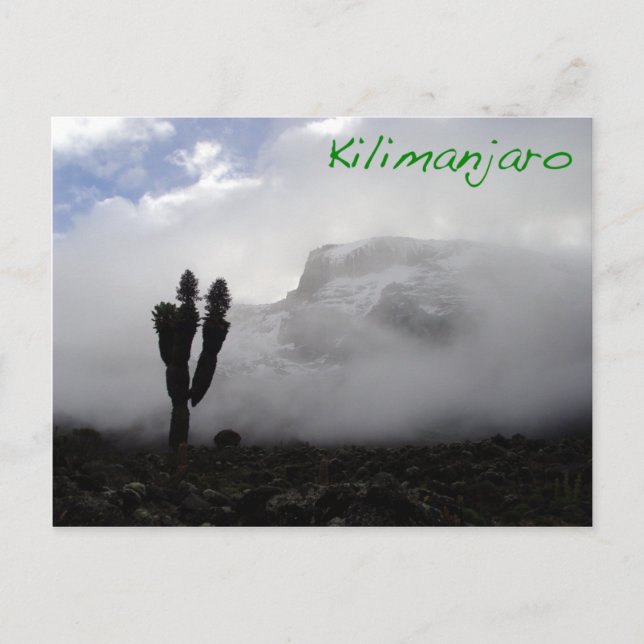 Cartão Postal Kilimanjaro (Frente)