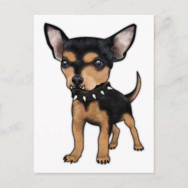 Cartão Postal Killer Chihuahua (Frente)
