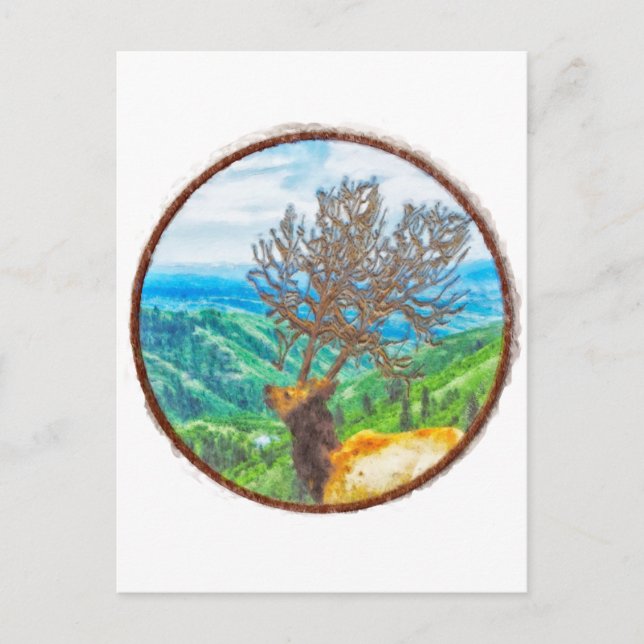 Cartão Postal King Cervus (Frente)