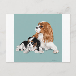 Cartão Postal King Charles