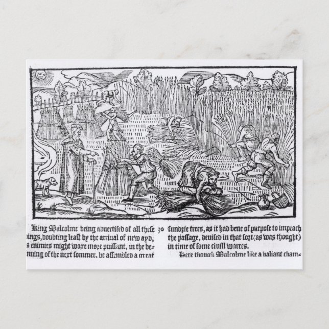 Cartão Postal King Malcolm da Escócia (Frente)