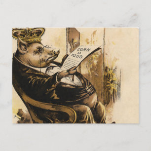 Cartão Postal King Pig Lendo Seu Jornal