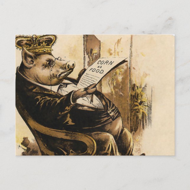 Cartão Postal King Pig Lendo Seu Jornal (Frente)
