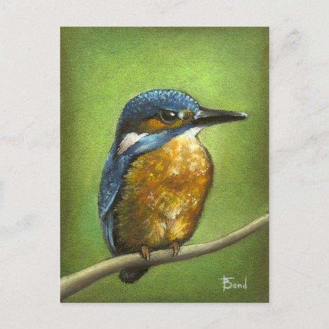 Cartão Postal Kingfisher (Frente)