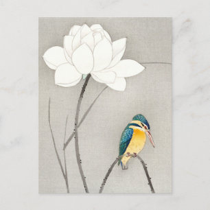 Cartão Postal Kingfisher com Flor de Lotus ++ Ohara Koson - 