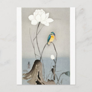 Cartão Postal Kingfisher com Flor de Lotus - Ohara Koson - branc