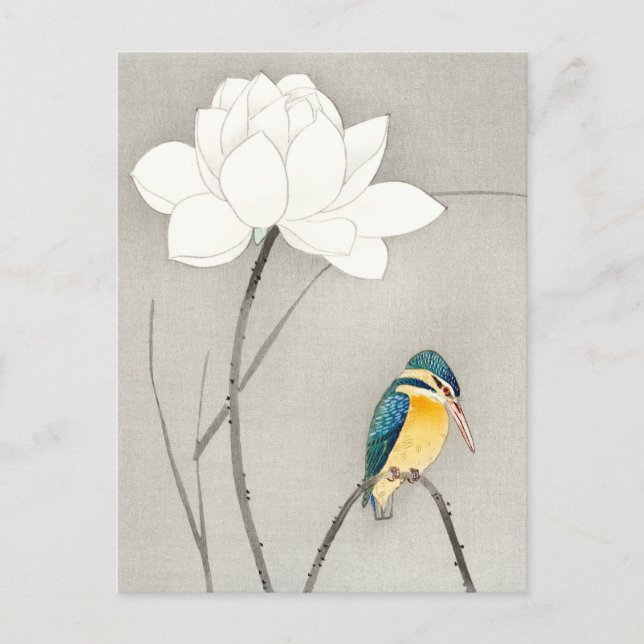 Cartão Postal Kingfisher com Lotus Flower Ohara Koson ampliado (Frente)