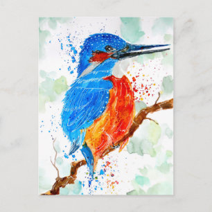 Cartão Postal Kingfisher Esperando por Prey