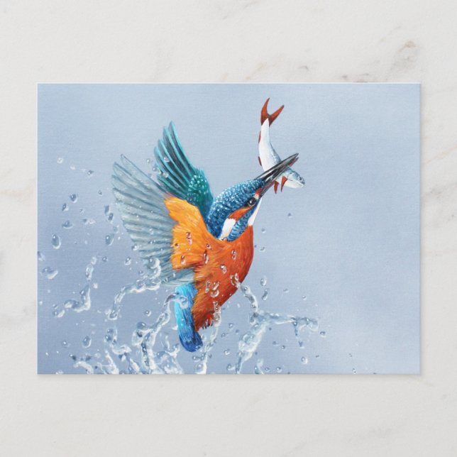 Cartão Postal Kingfisher voando para fora da água (Frente)