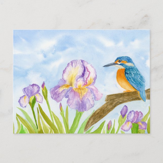 Cartão Postal  Kingfisher with Purple Irises (Frente)