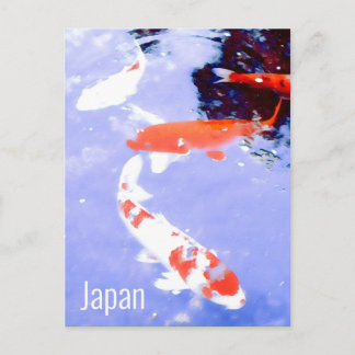 Cartão Postal Kioto Japão Kohaku koi carp viagem japonês