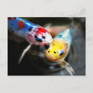 Cartão Postal Kissing fish
