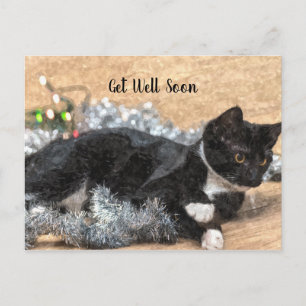 Cartão Postal Kitchen Tuxedo Purpurina e Luzes Melhoras