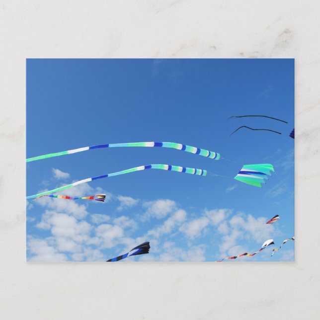 Cartão Postal Kite de Cauda Longa Verde Azul (Frente)