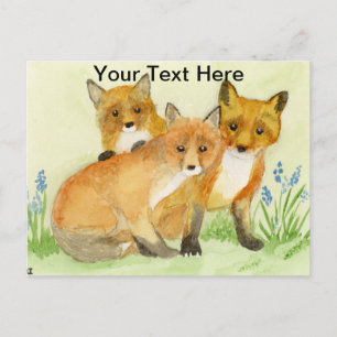 Cartão Postal Kits Fox