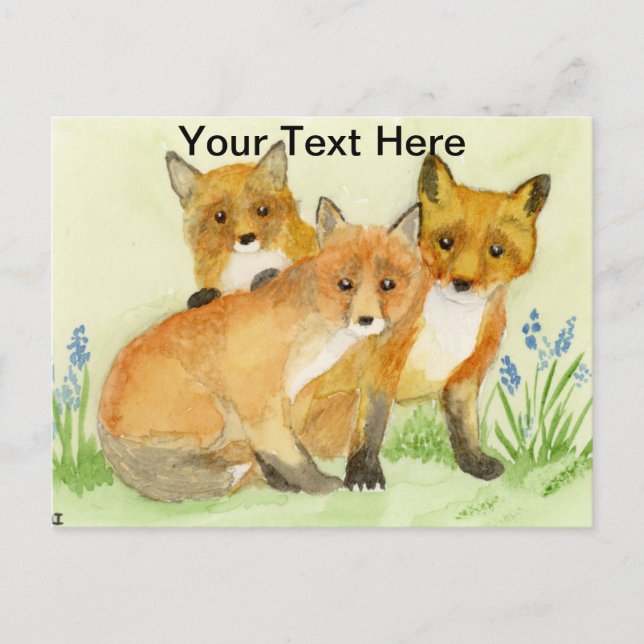 Cartão Postal Kits Fox (Frente)