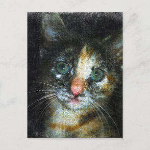 Cartão Postal Kitten