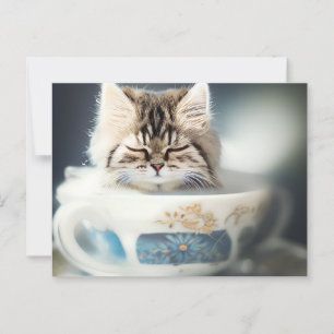 Cartão Postal Kitten dormindo em um Teacup - Cartão-postal de Ca