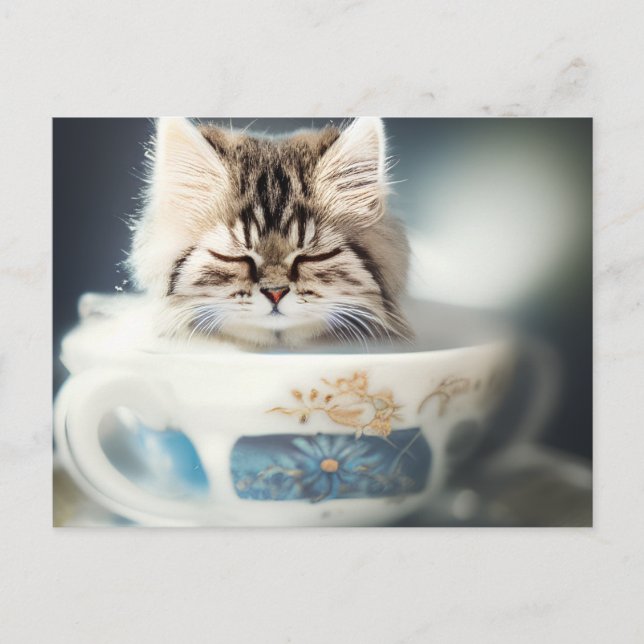 Cartão Postal Kitten dormindo em um Teacup - Cartão-postal de Ca (Frente)