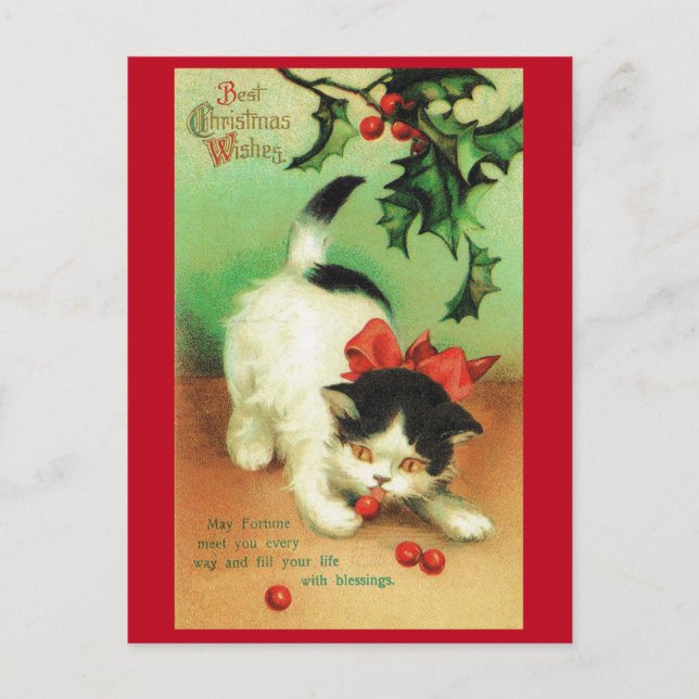 Cartão Postal Kitten e Christmas Holly (Frente)