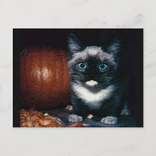 Cartão Postal Kitten e Pumpkin para o Dia das Bruxas