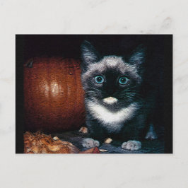 Cartão Postal Kitten e Pumpkin para o Dia das Bruxas
