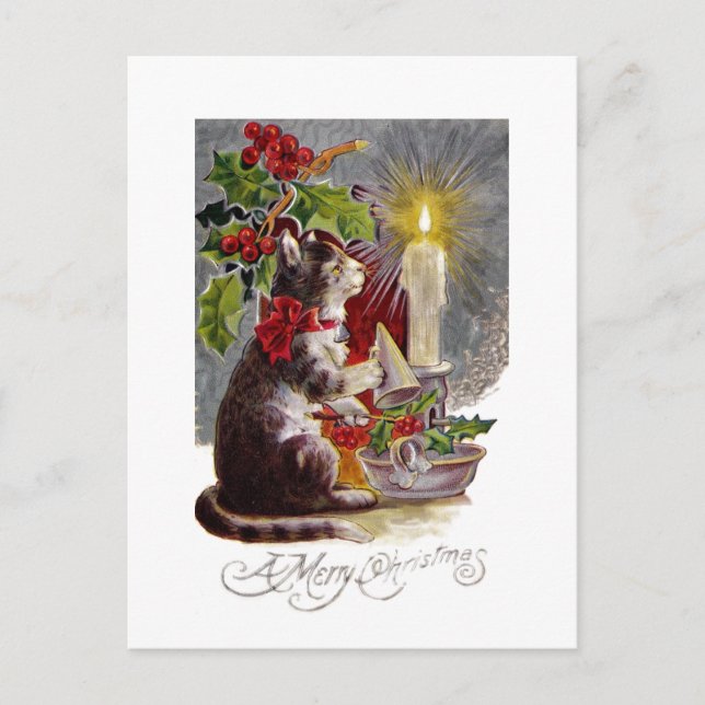 Cartão Postal Kitten Fazendo Uma Vela (Frente)