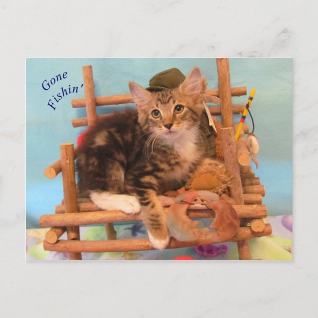 Cartão Postal Kitten Gone Fishin (Frente)