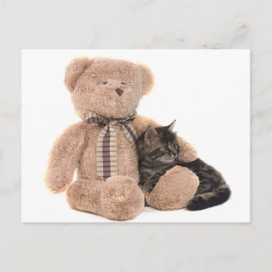 Cartão Postal kitten in the arms of a teddy bear