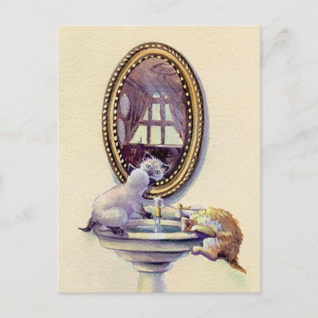 Cartão Postal KITTEN MIRROR por SHARON SHARPE (Frente)