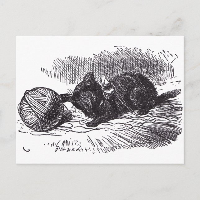 Cartão Postal Kitten Preto (Frente)