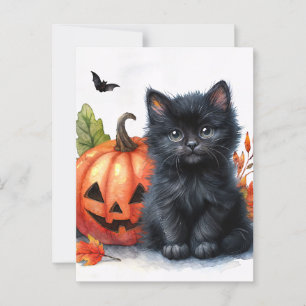 Cartão Postal Kitten Preto do Halloween com Jack-o-lantern