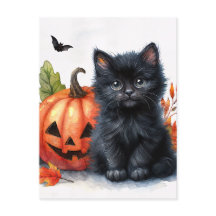 Kitten Preto do Halloween com Jack-o-lantern