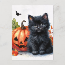 Cartão Postal Kitten Preto do Halloween com Jack-o-lantern