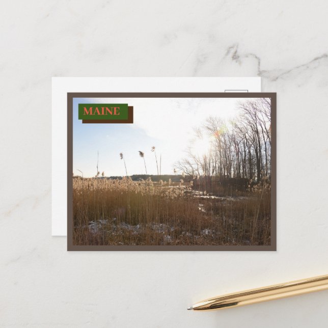 Cartão Postal Kittery Seapoint Beach Maine Nature (Frente/Verso In Situ)