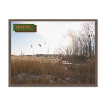 Kittery Seapoint Beach Maine Nature