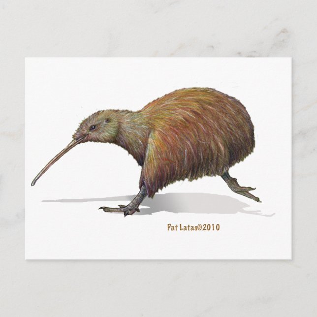 Cartão Postal kiwi (Frente)