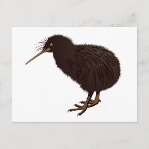 Cartão Postal Kiwi Bird