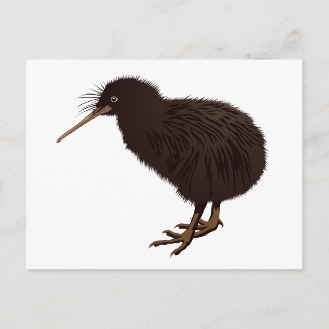 Cartão Postal Kiwi Bird (Frente)