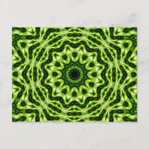 Cartão Postal Kiwi Kaleidoscope